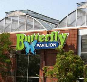 SC17 Local Focus: Family-Friendly Attractions and Entertainment in Denver